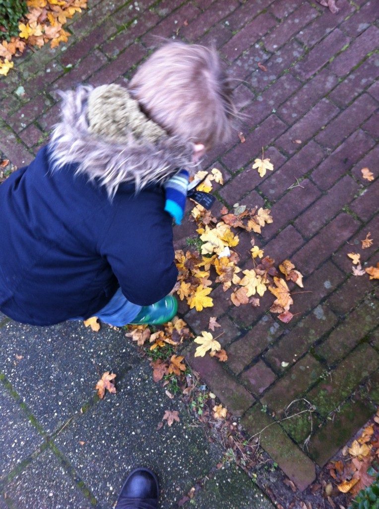 sen herfst