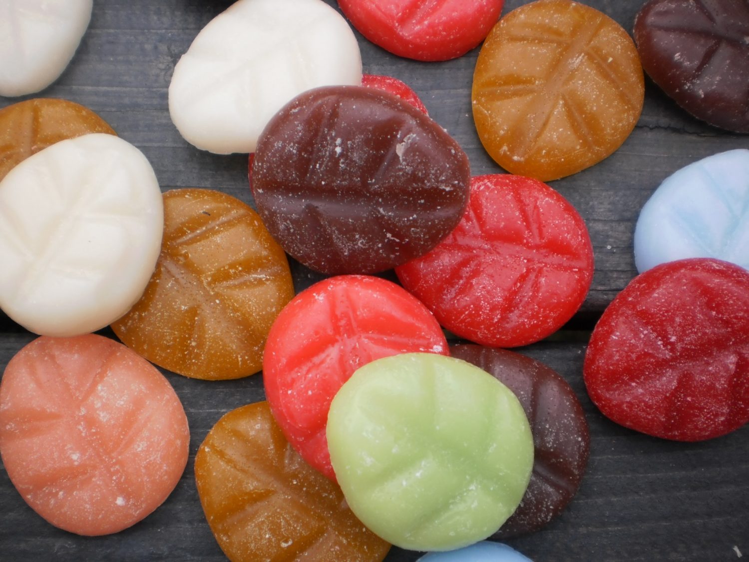 The world of Scentchips Twinkelbella