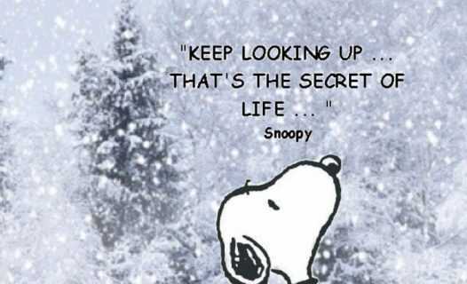 snoopy