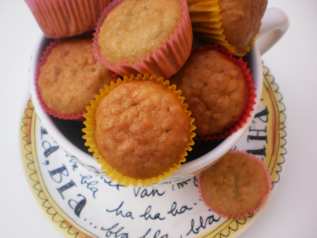 Havermoutcakejes