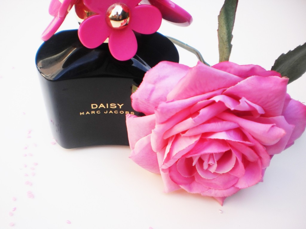Daisy Hot Pink