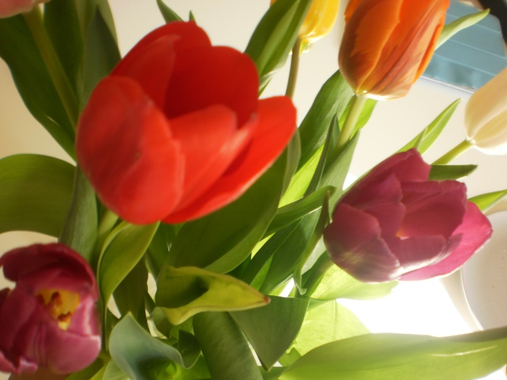lente