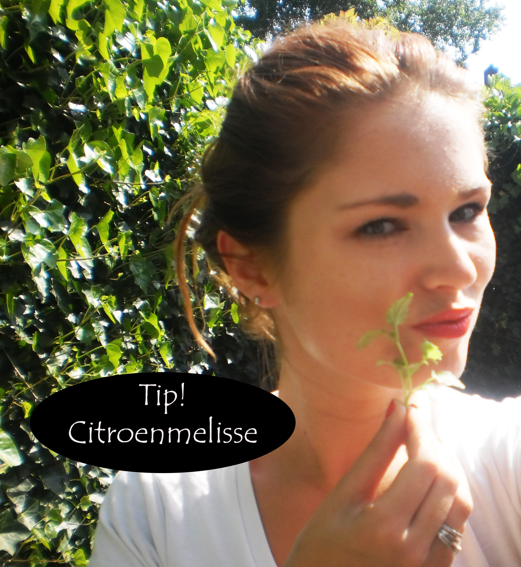 Tip! Citroenmelisse