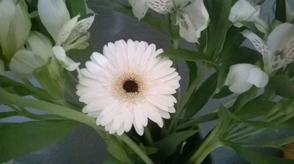 bloemen