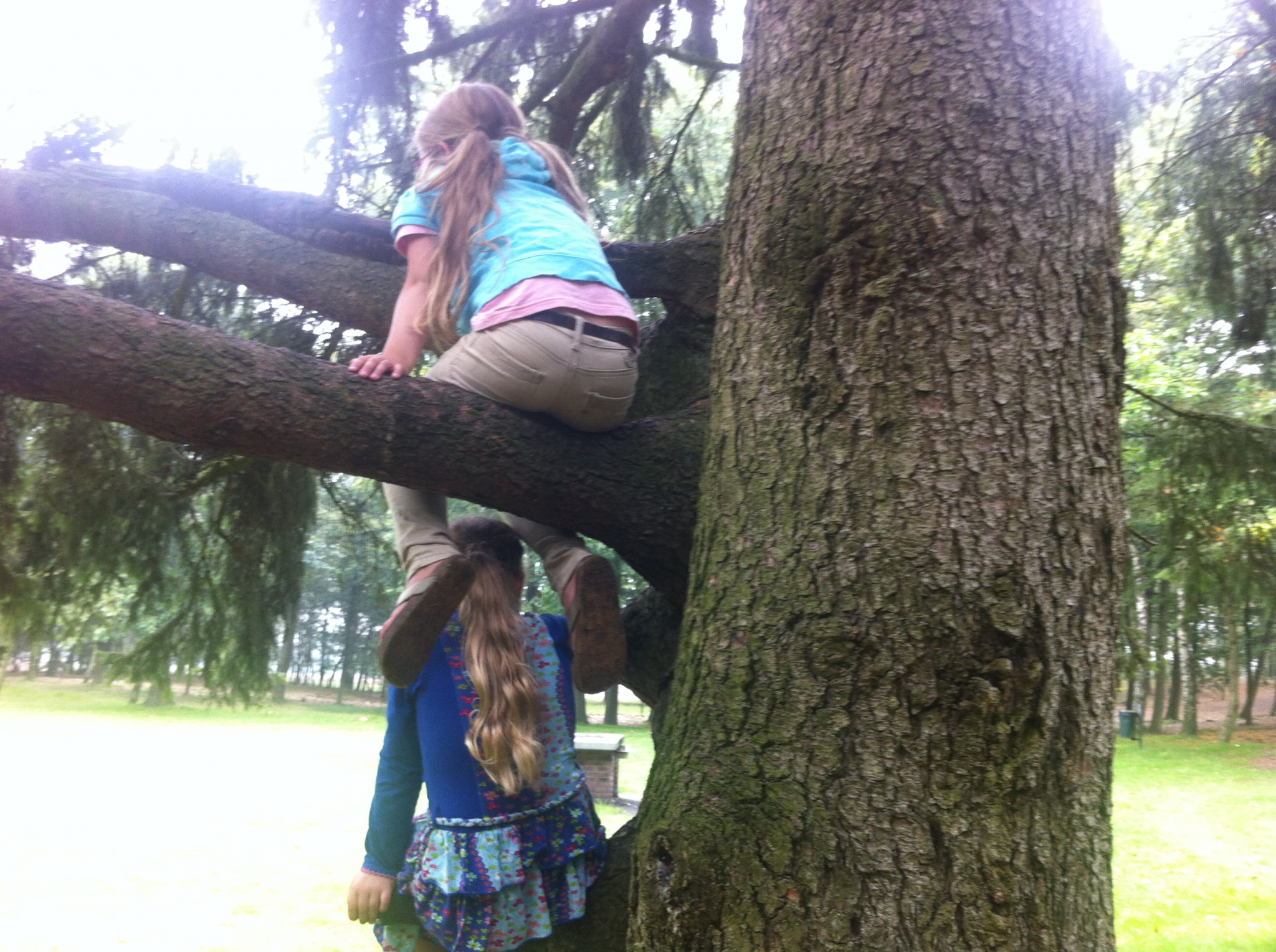 Picknicken in het bos