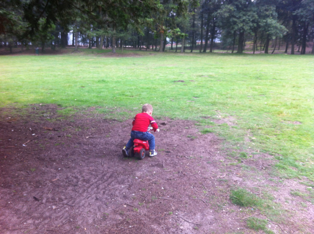 picknicken10