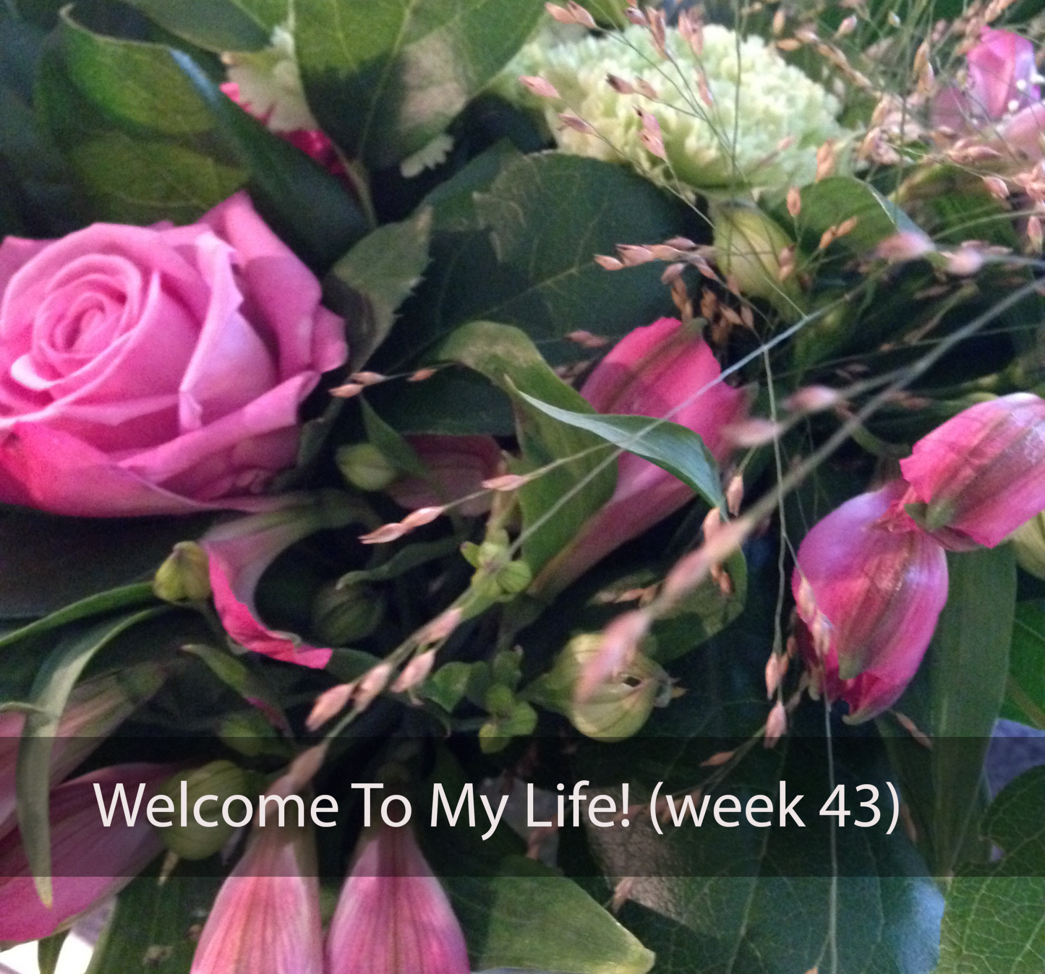 Persoonlijk: Welcome To My Life! (week 43)