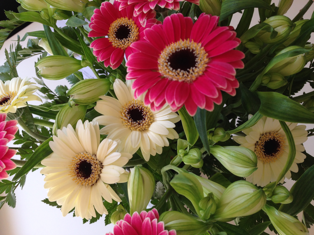 bloemen