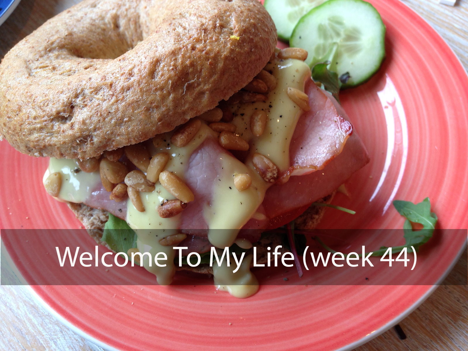 Persoonlijk: Welcome To My Life (week 44)