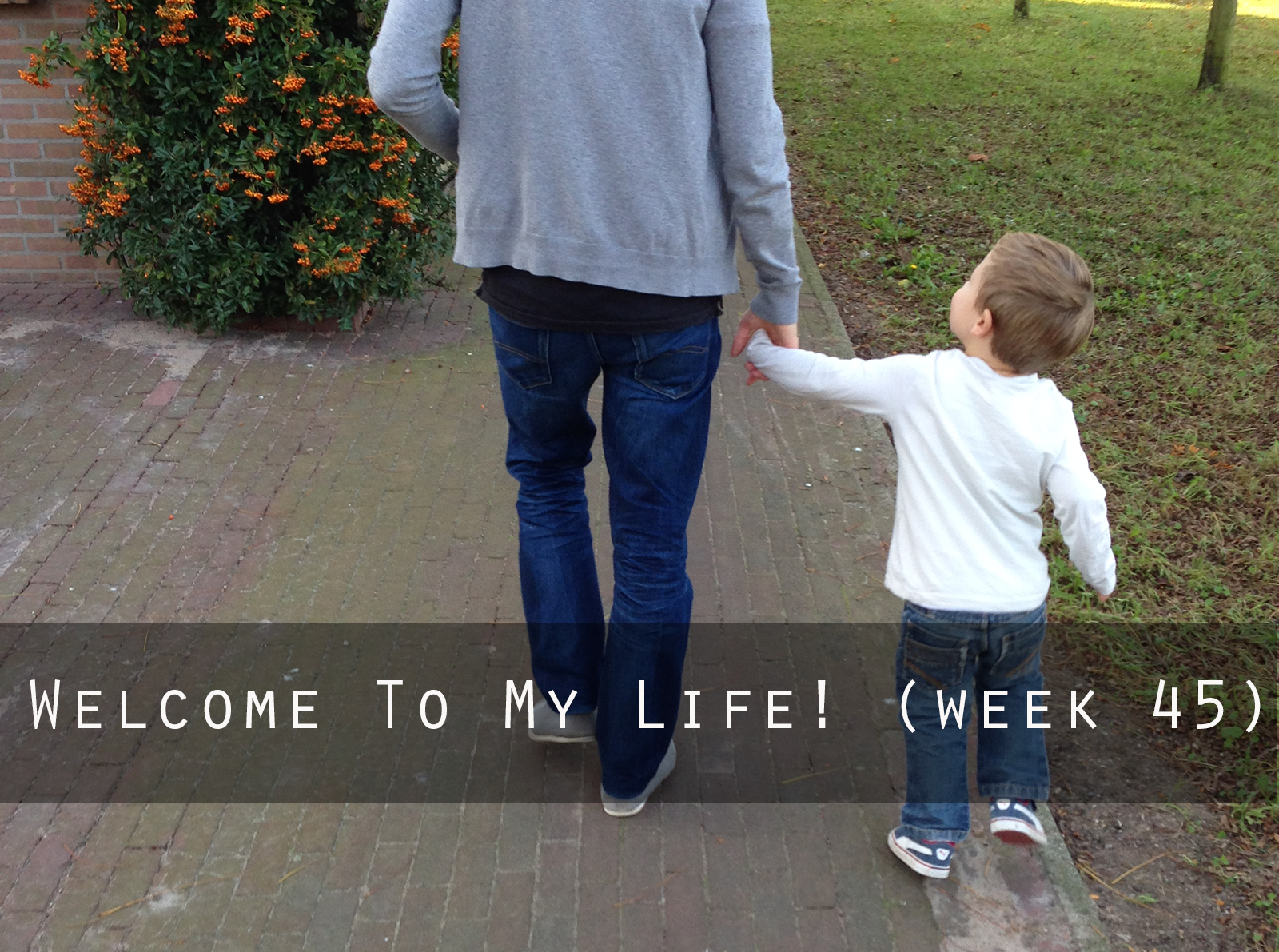 Persoonlijk: Welcome To My Life! (week 45)