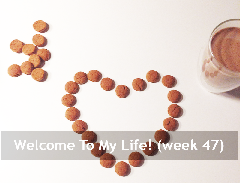 Persoonlijk: Welcome To My Life! (week 47)