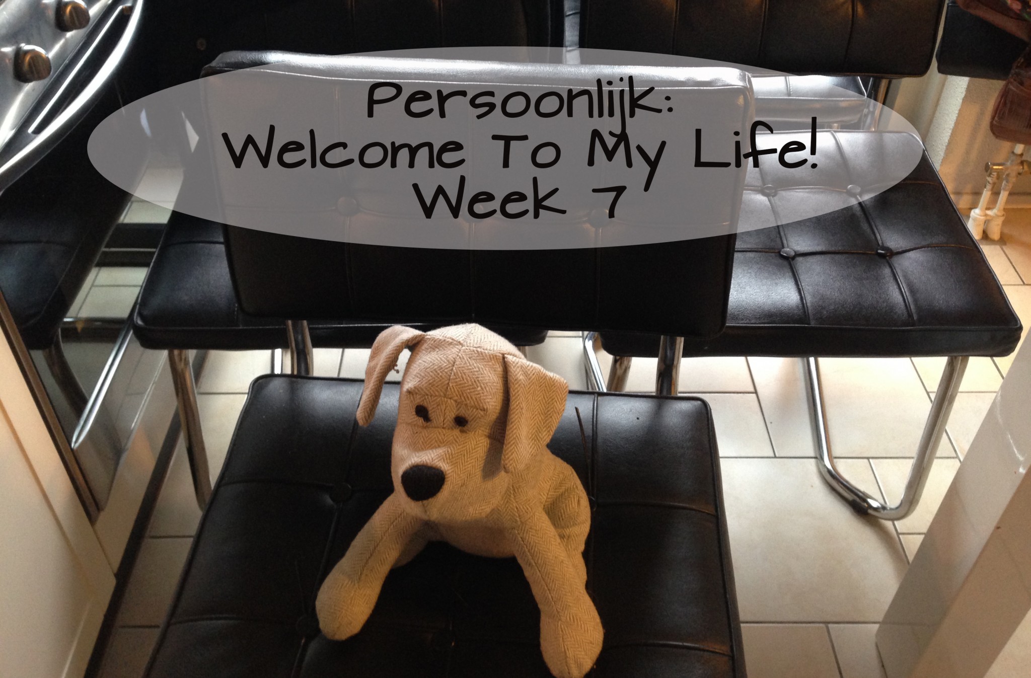 Persoonlijk: Welcome To My Life! (week 7)