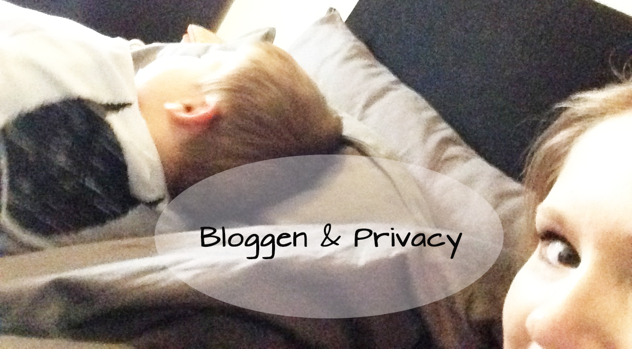 Bloggen & Privacy