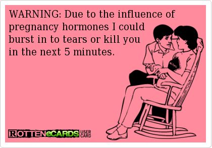 This Or That Tag Pregzilla Style!
