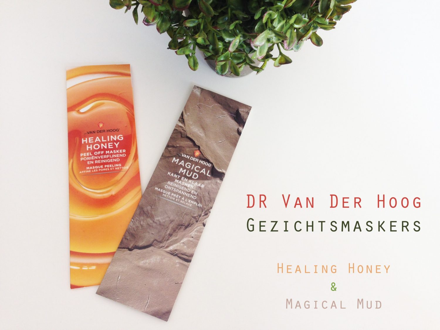 Dr Van Der Hoog Gezichtsmaskers (2x)