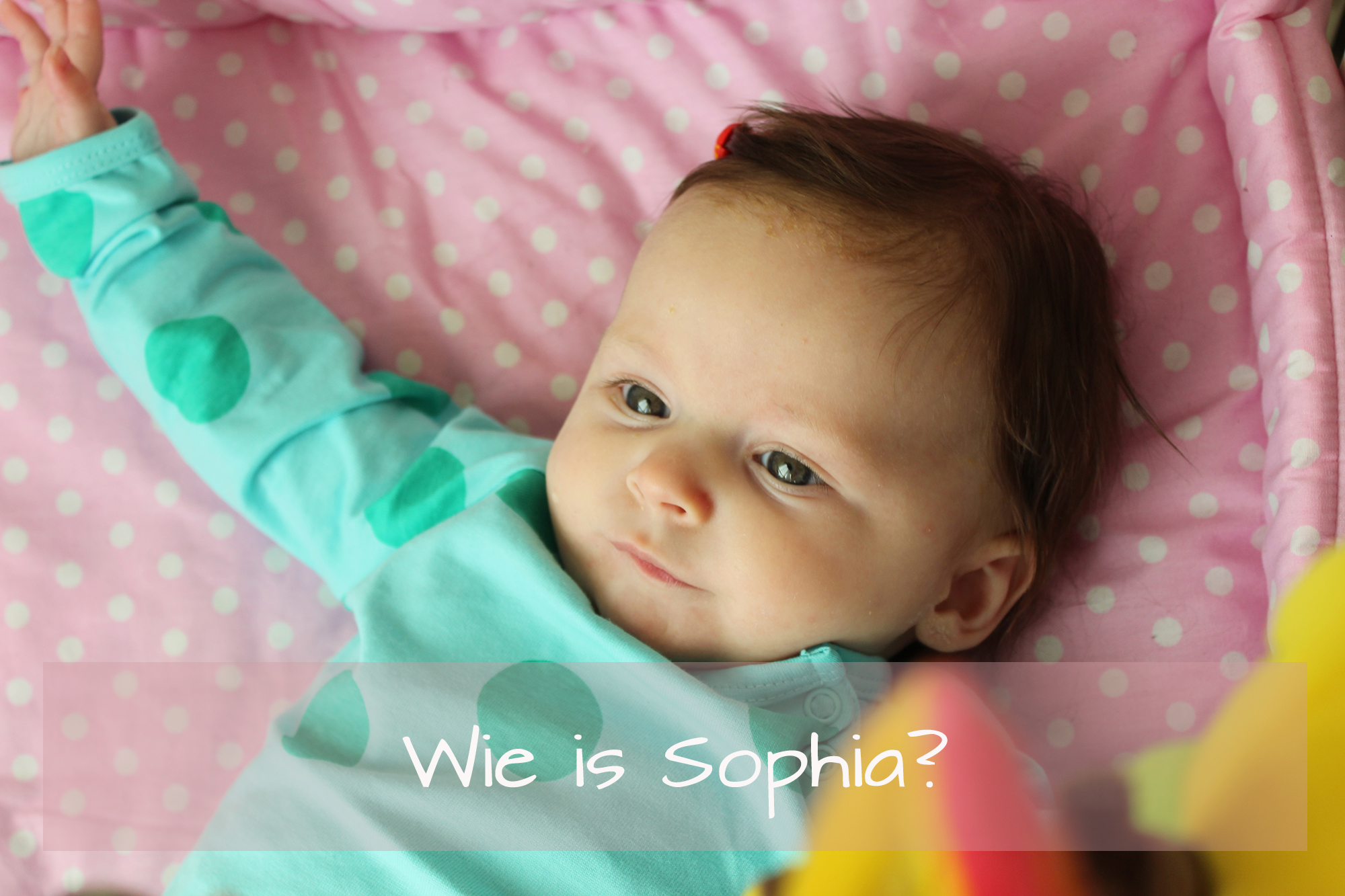 Wie is Sophia?