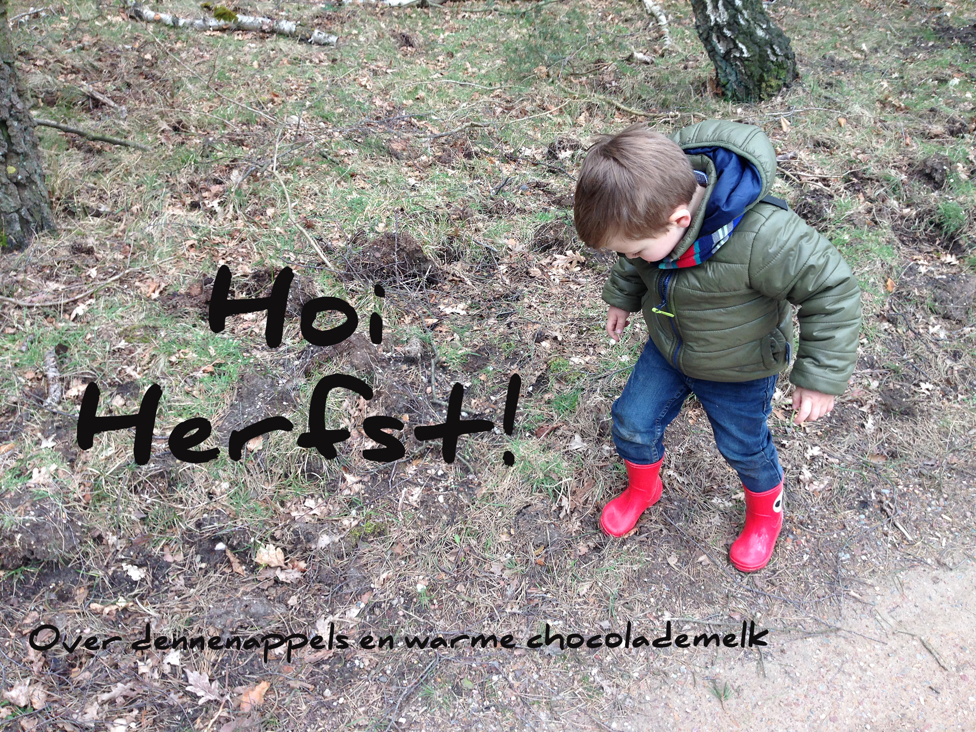Hoi Herfst!