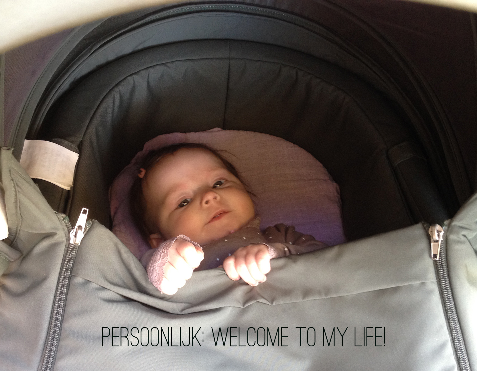 Persoonlijk: Welcome To My Life! Veel selfies, verstoppertje & tuimeljudo)