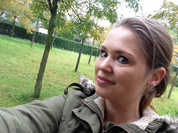wandelen