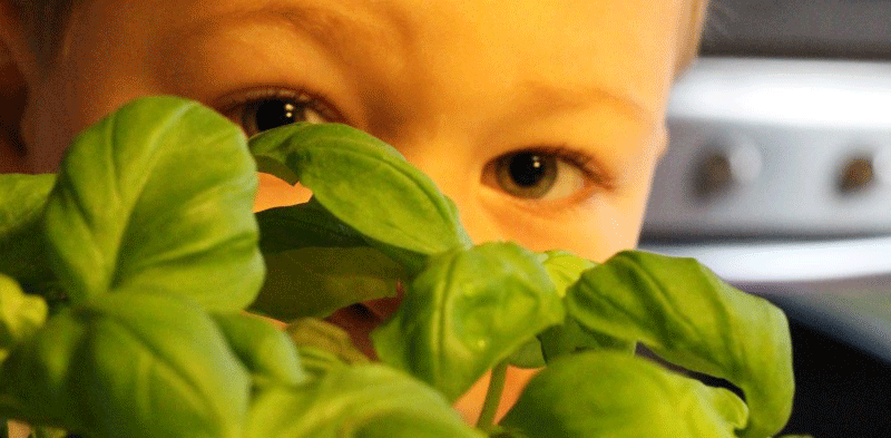 Een moestuintje voor kinderen