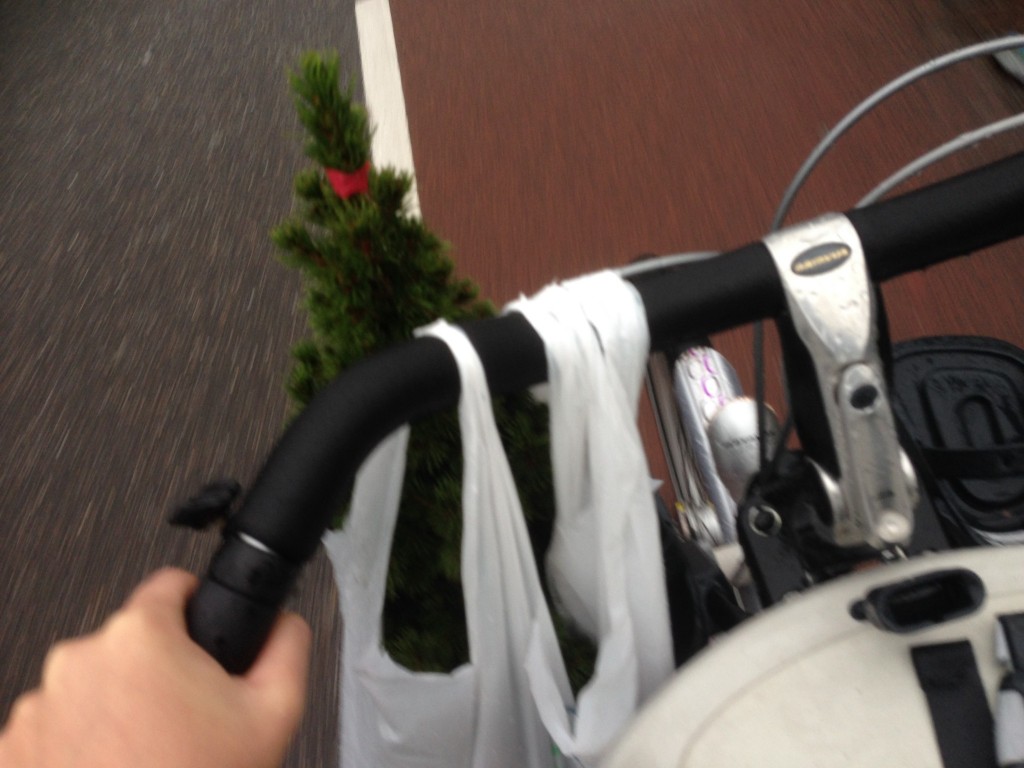 kerstboom