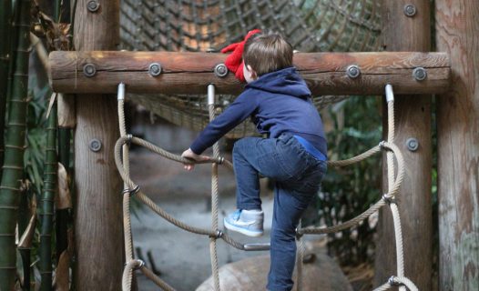 Center Parcs