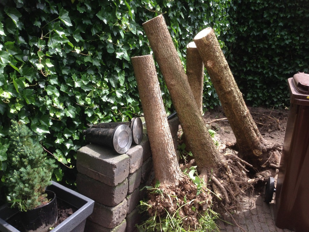 tuin