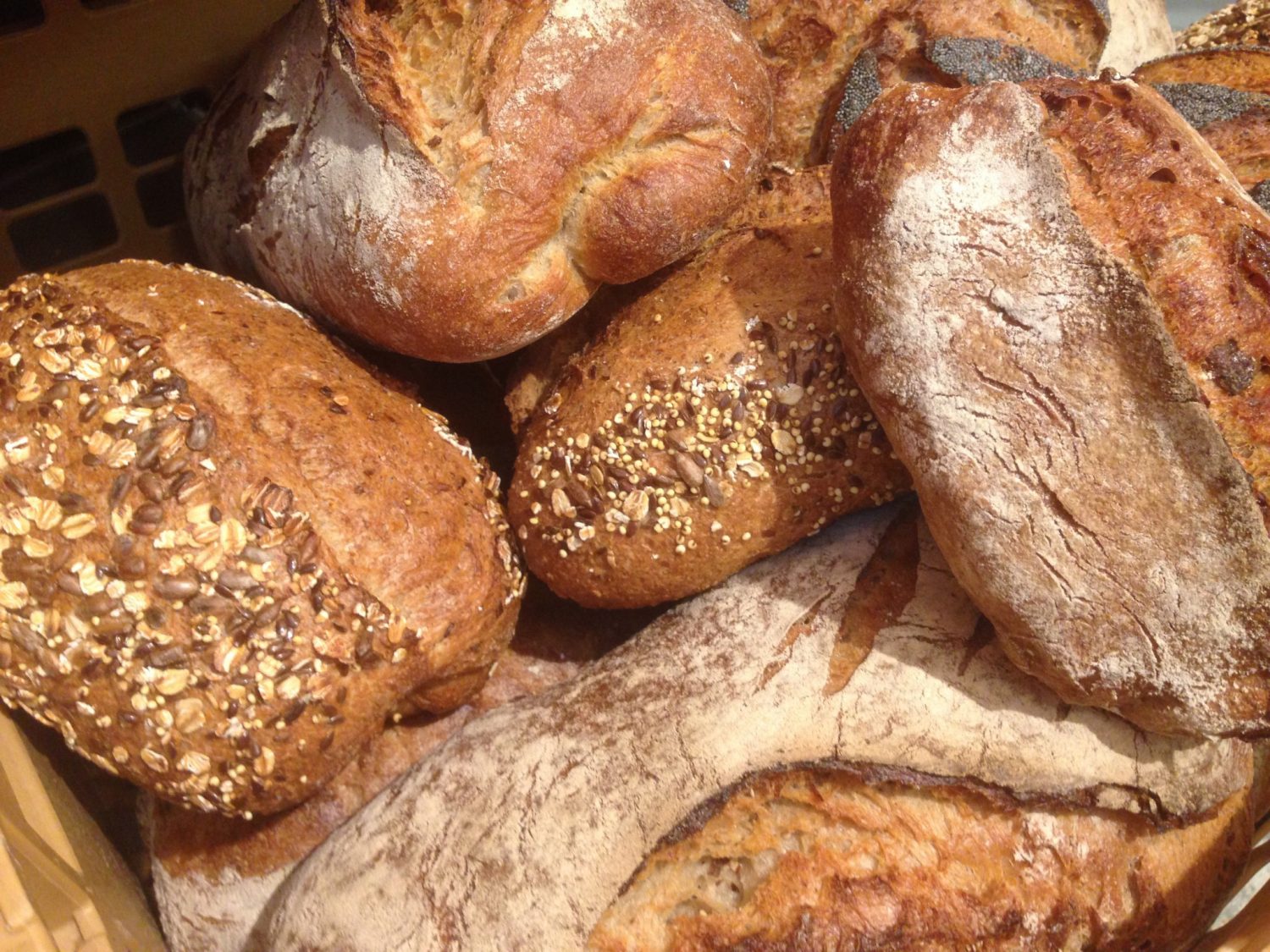 Joris Brood