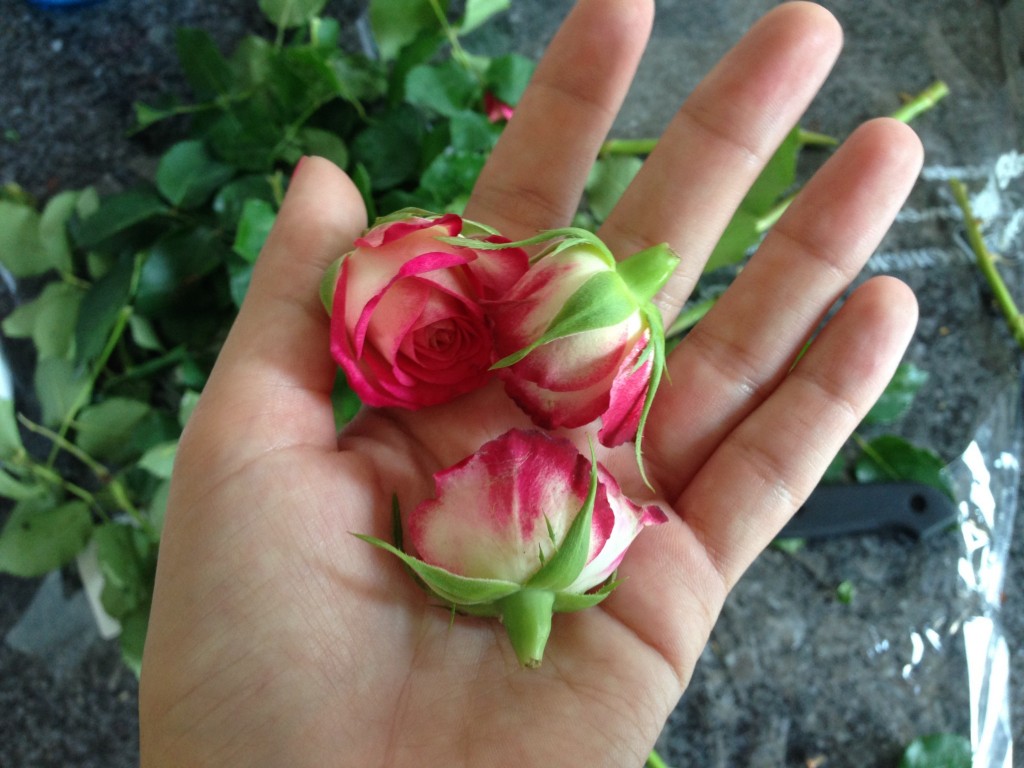bloemen