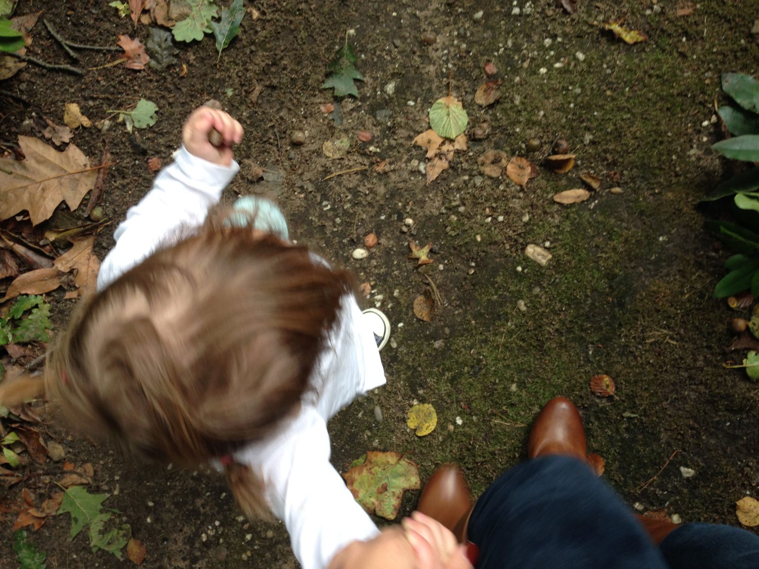 wandelen