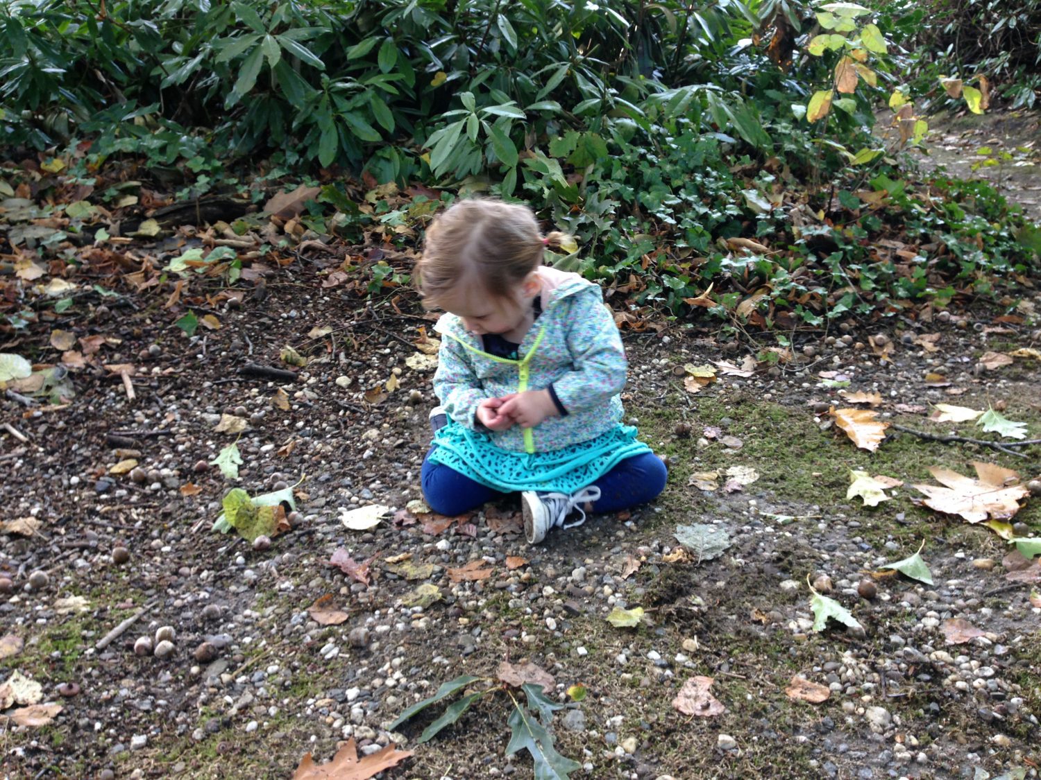 Herfst