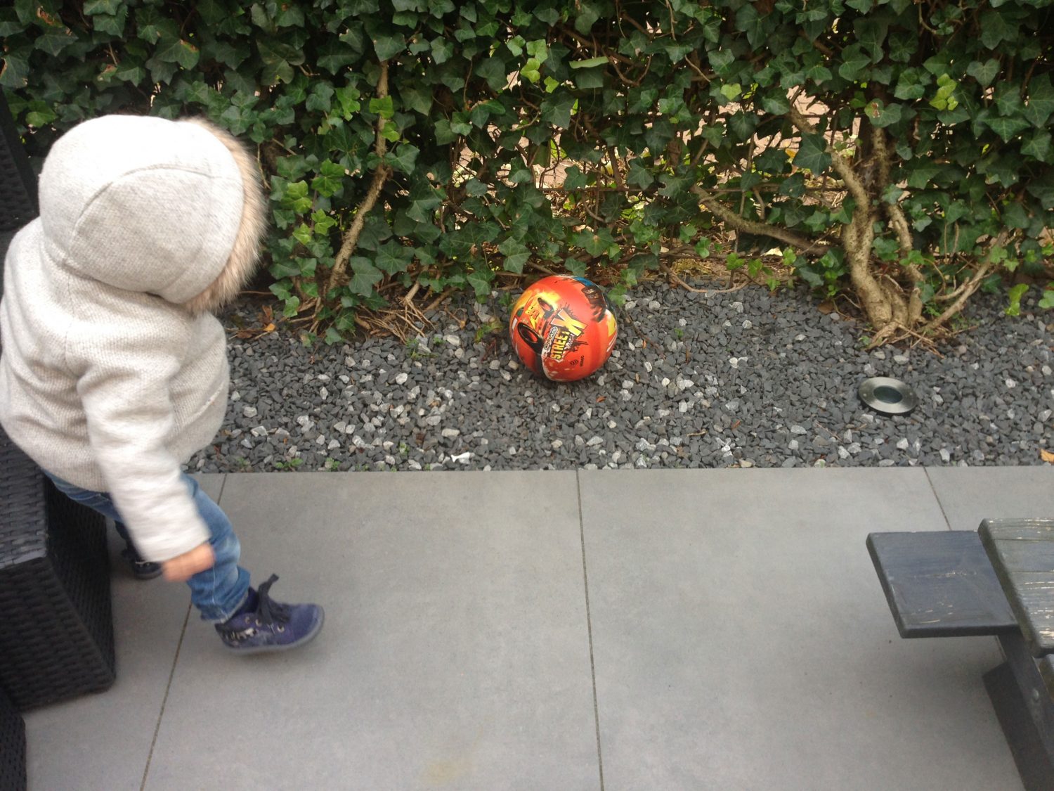 tuin