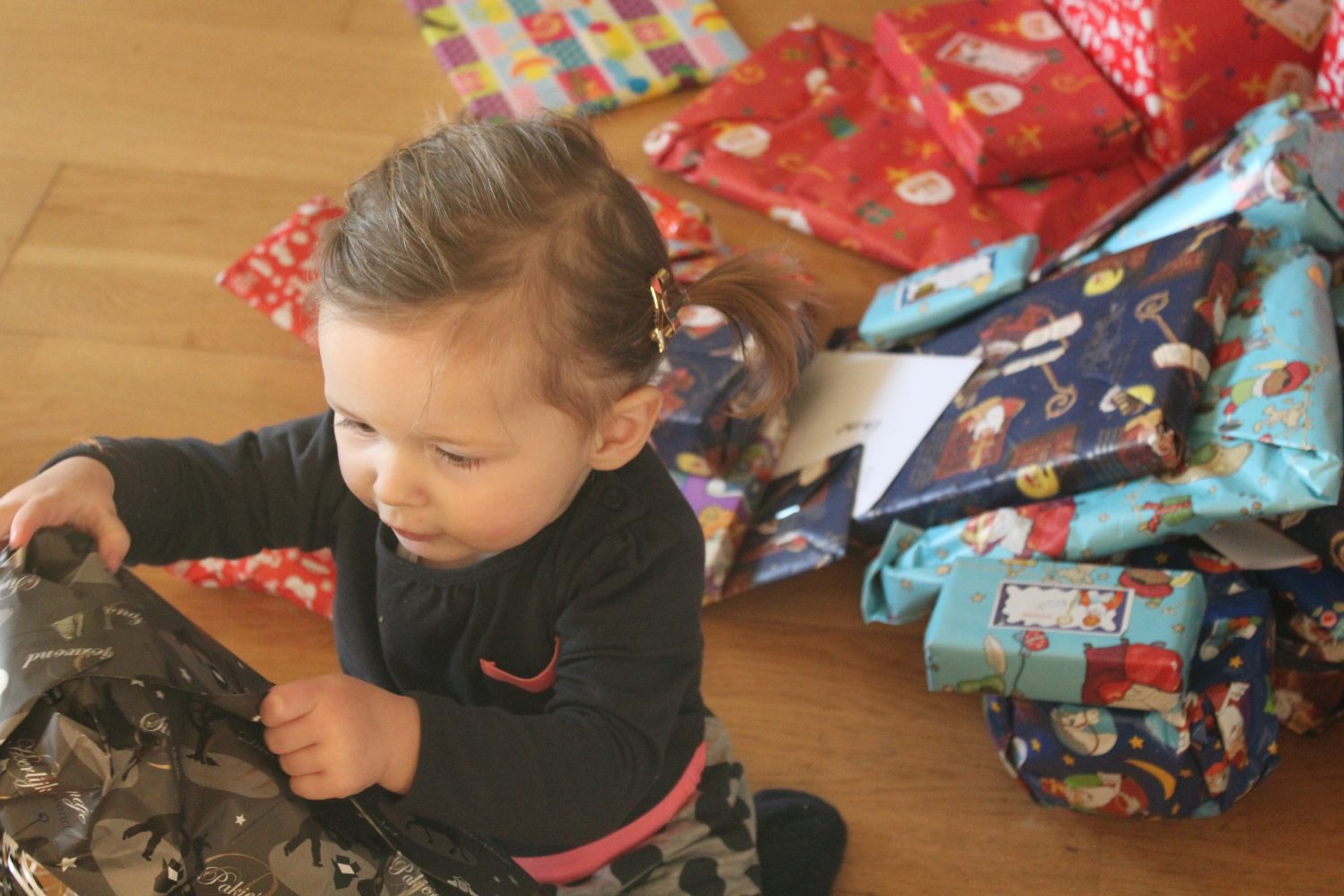 sinterklaasfeest