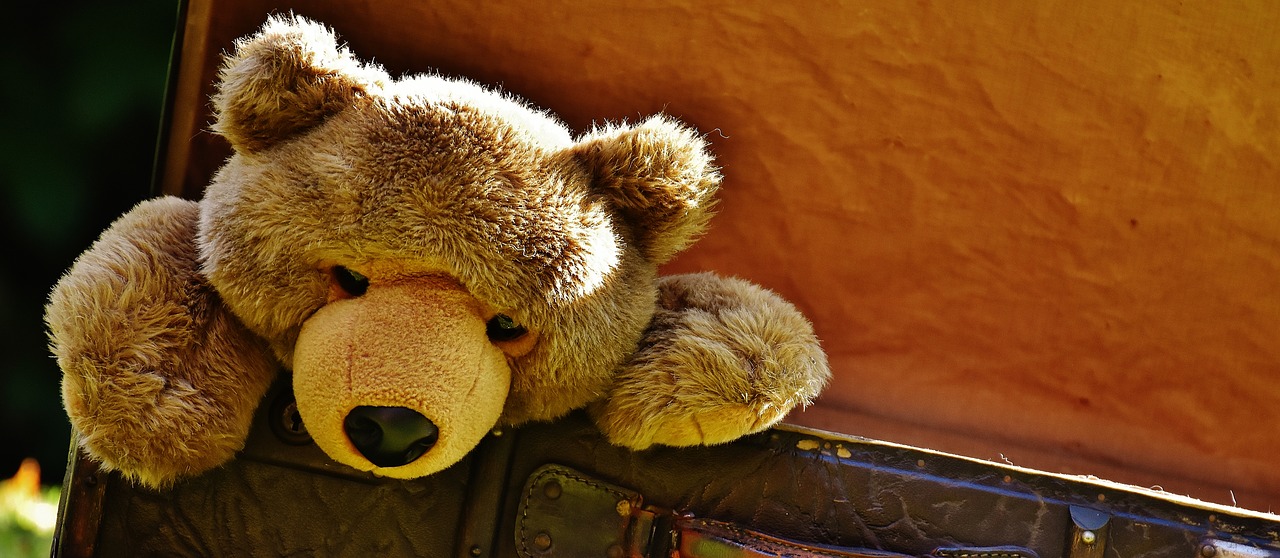 Verhuizen met kinderen (handige tips!)