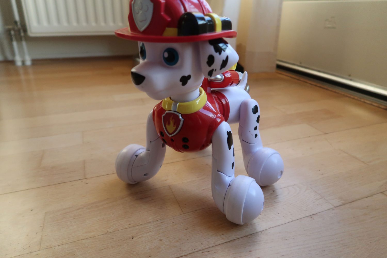 Marshall Zoomer