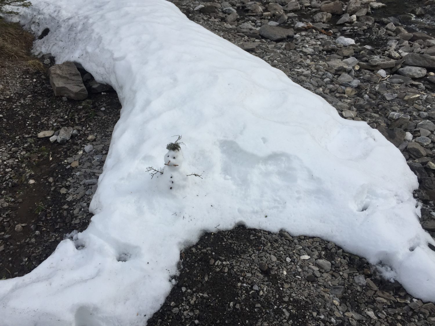sneeuwpop