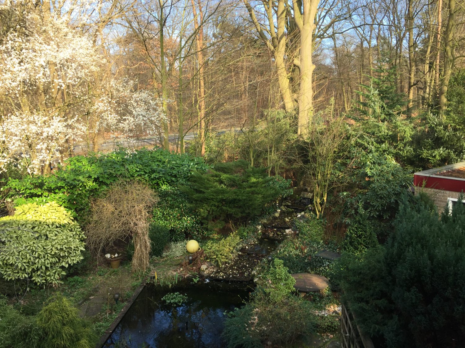 tuin