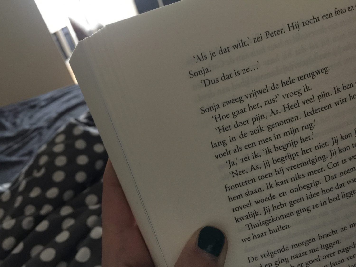 boek lezen