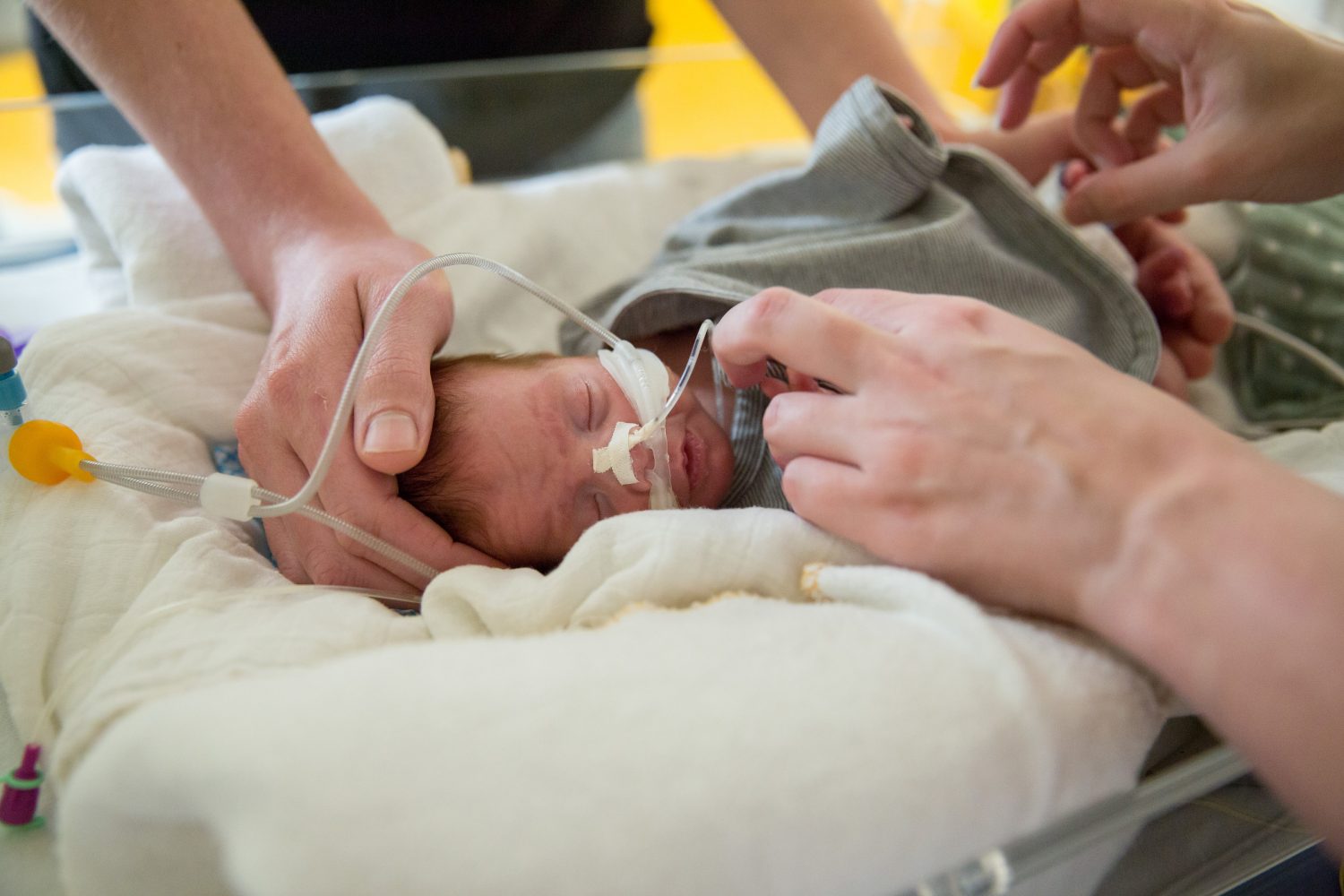 De eerste weken van een premature baby