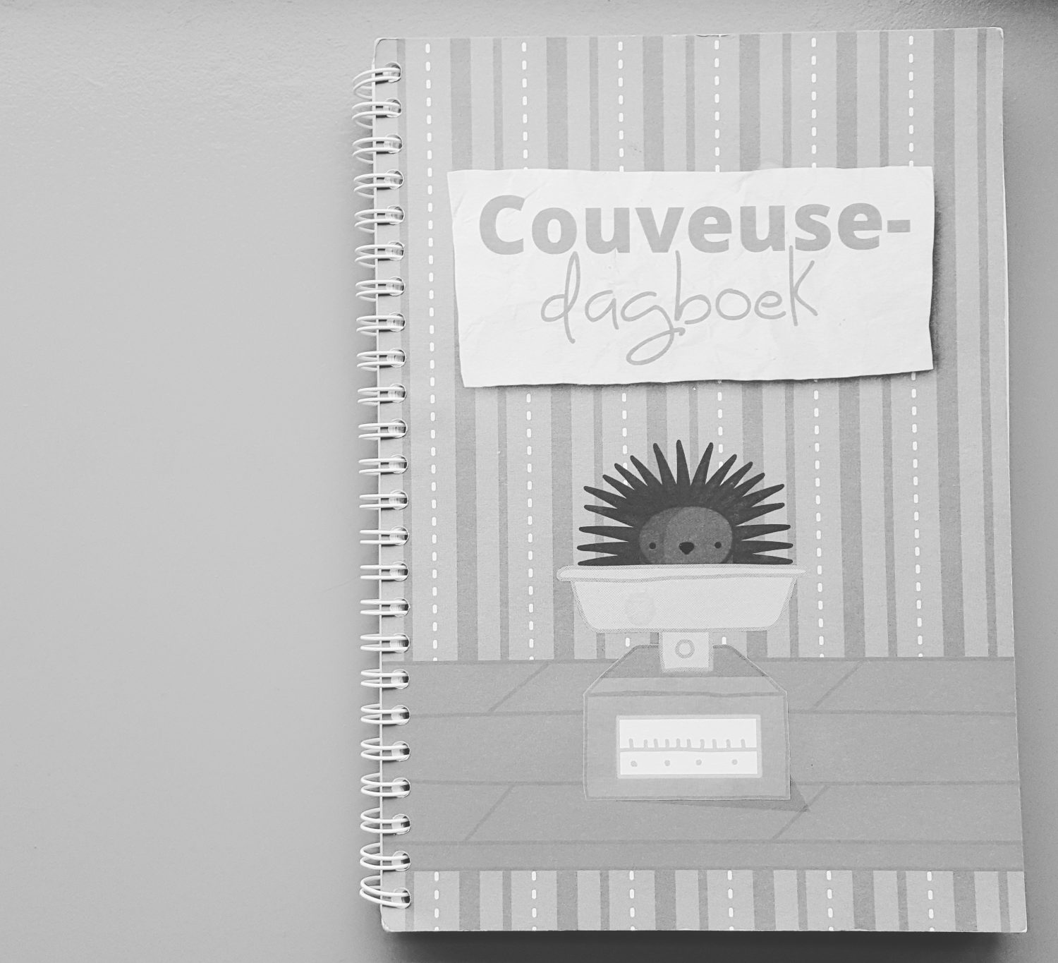 Dag van de Couveuseouders (tips voor ouders van couveusekinderen)
