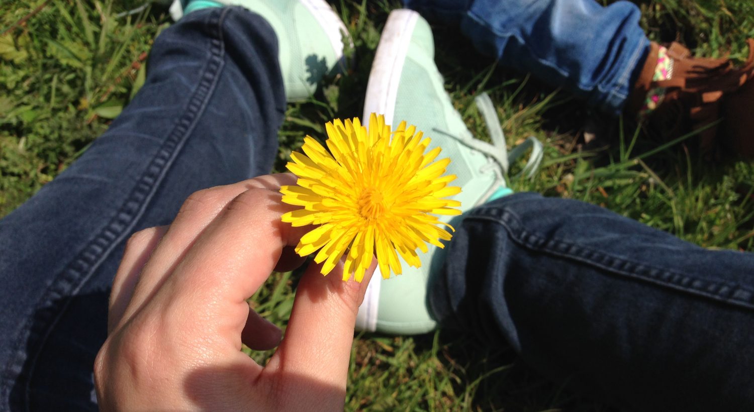 bloem