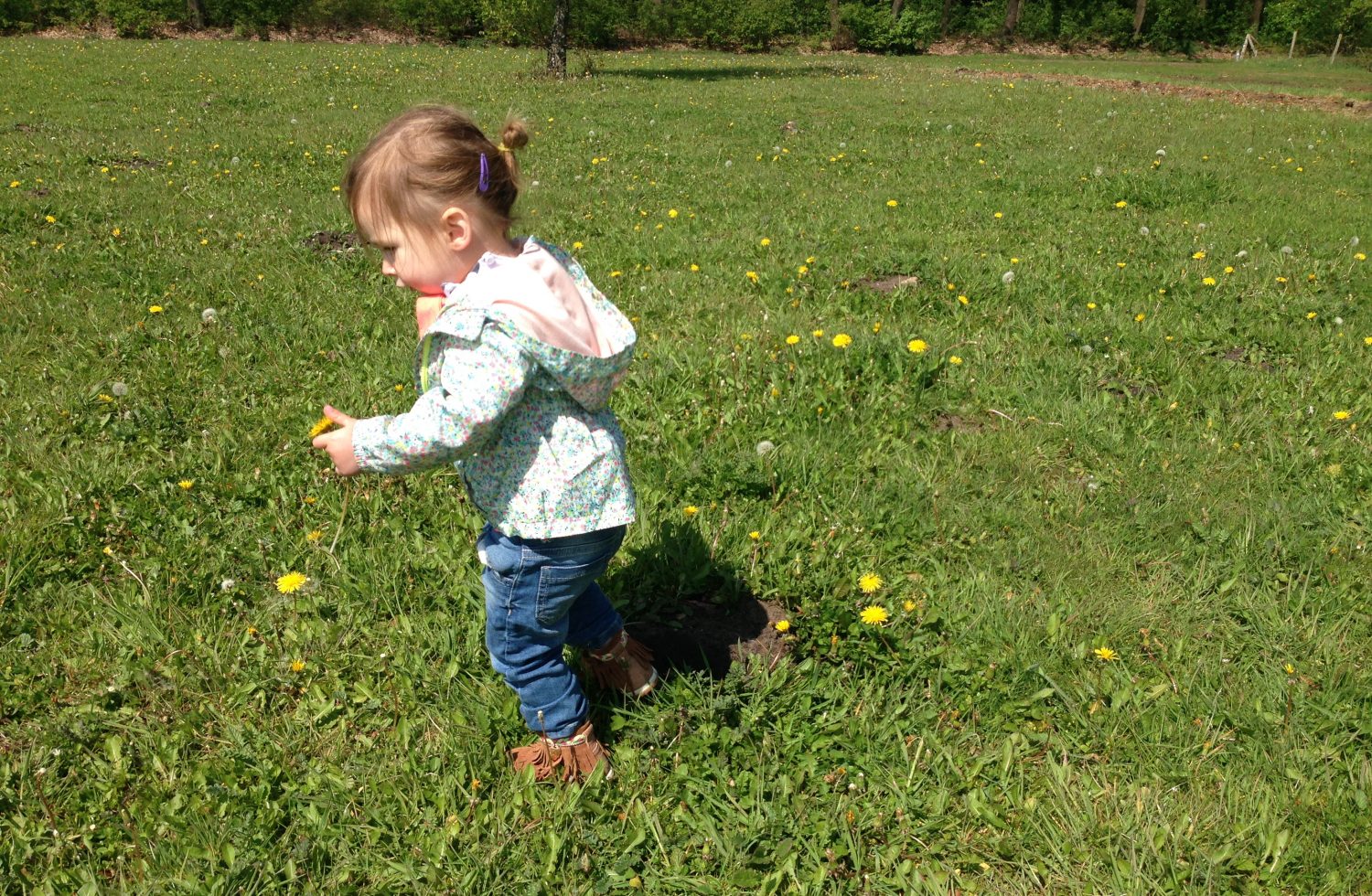 bloemen plukken