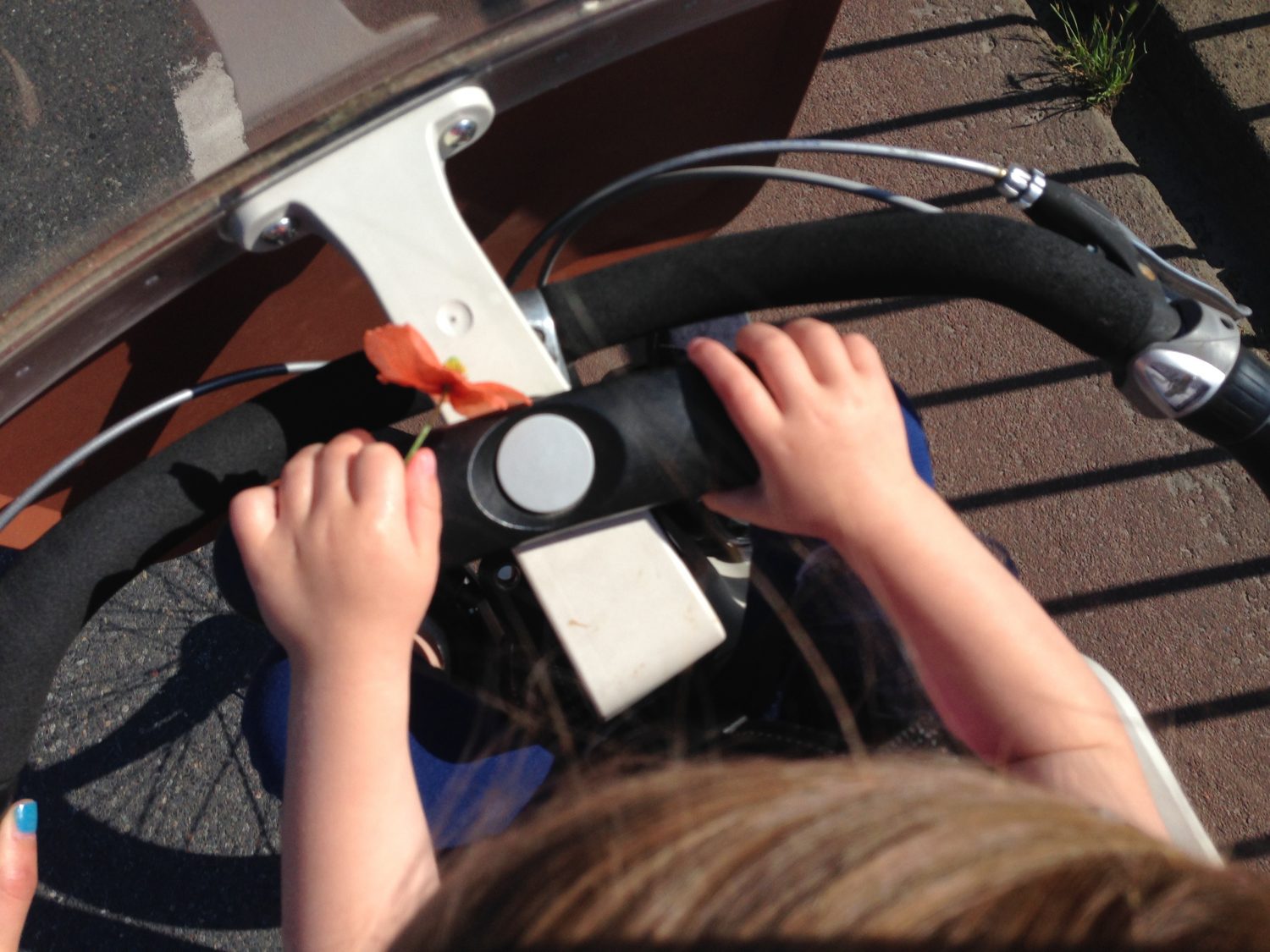 fietsen