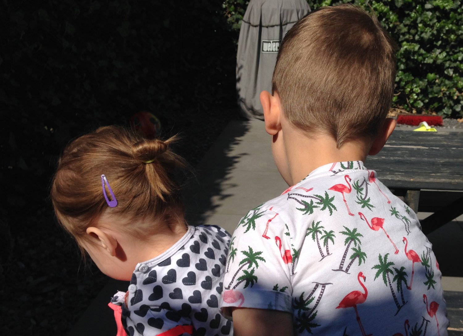lief