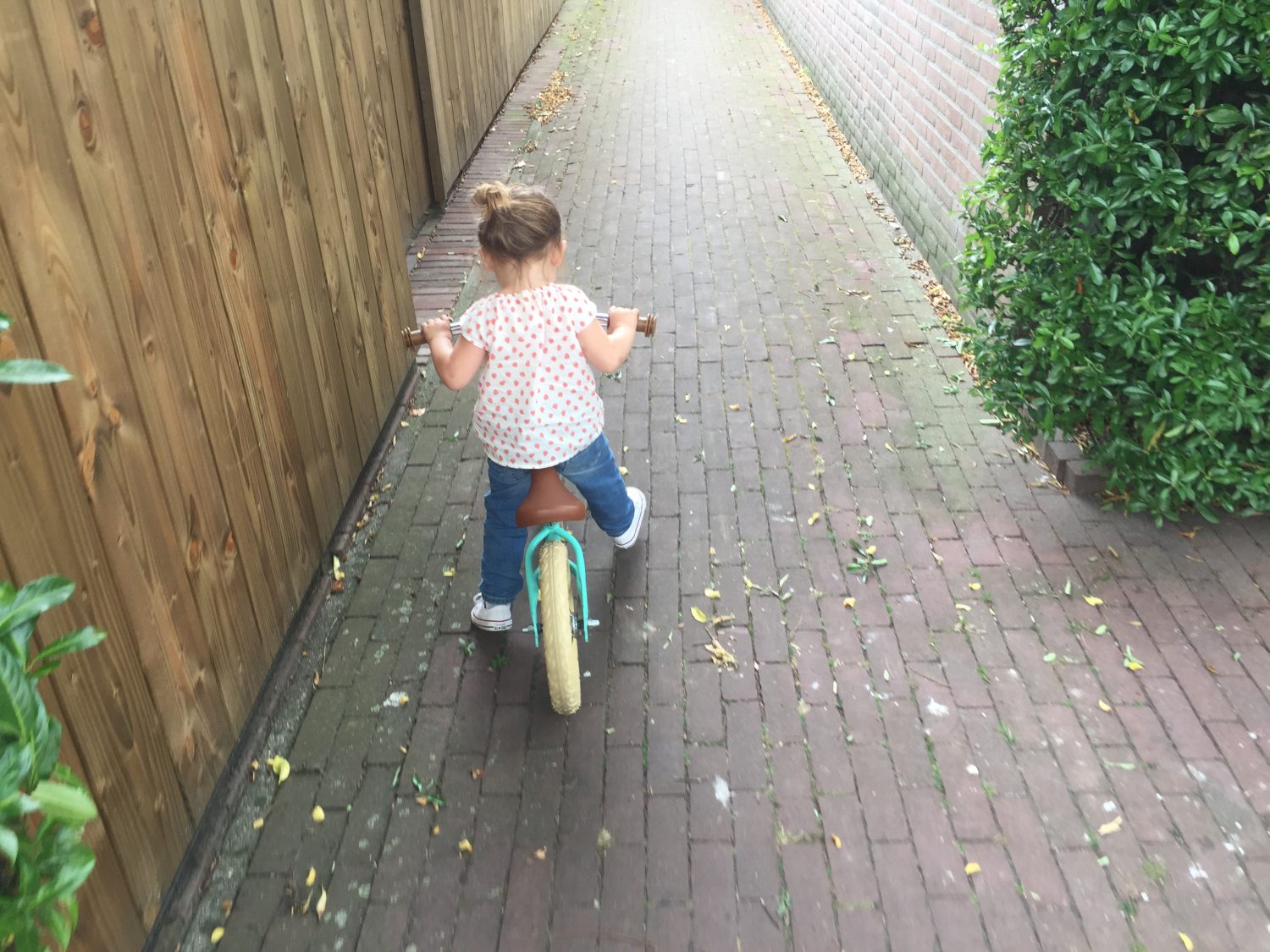 loopfiets