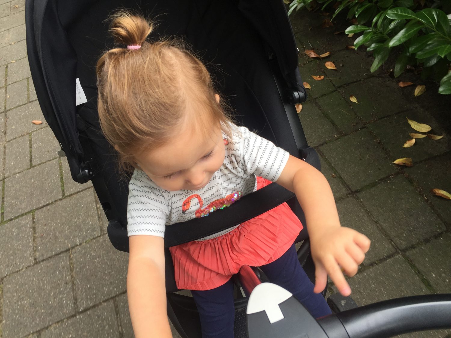 wandelen wandelwagen