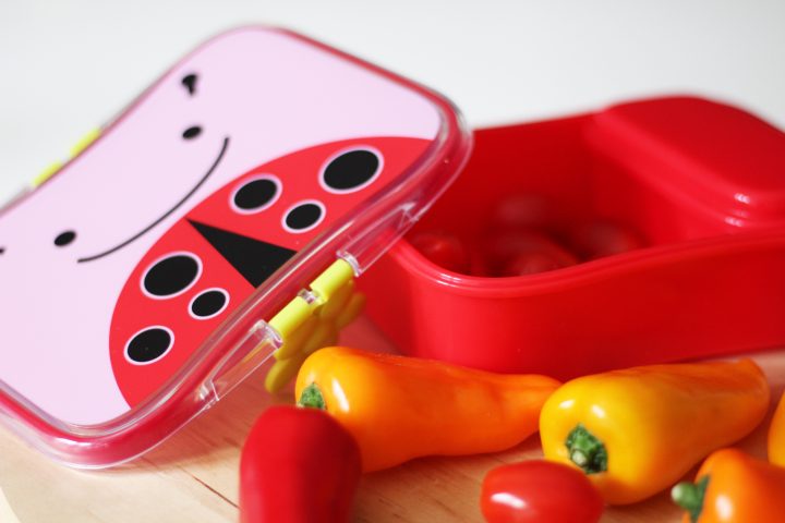 Skip Hop Lunch box