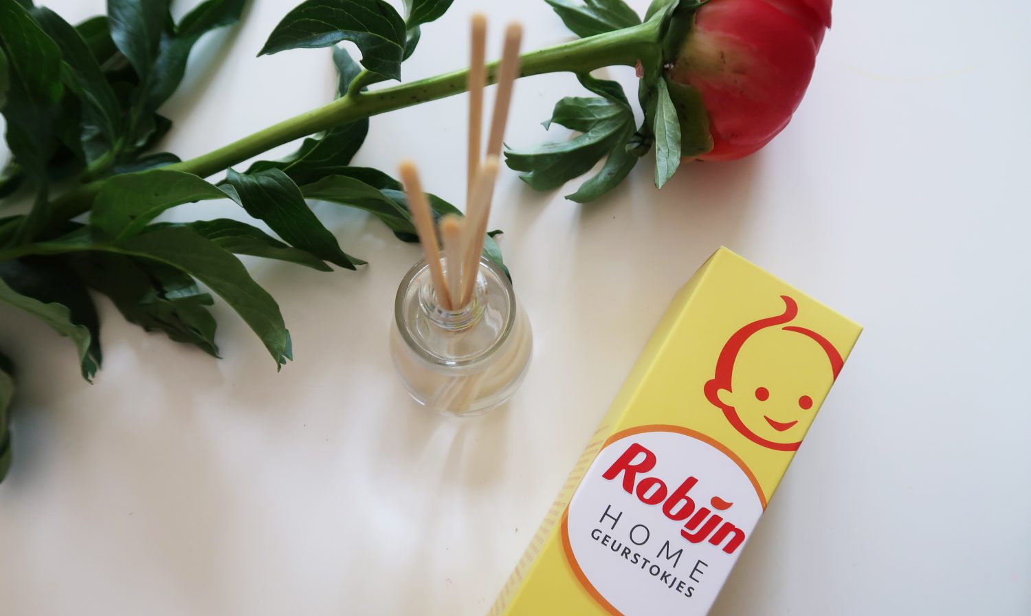 Bedachtzaam Op de kop van retort Review: Robijn Home Geurstokjes (+handige tip!) | Twinkelbella