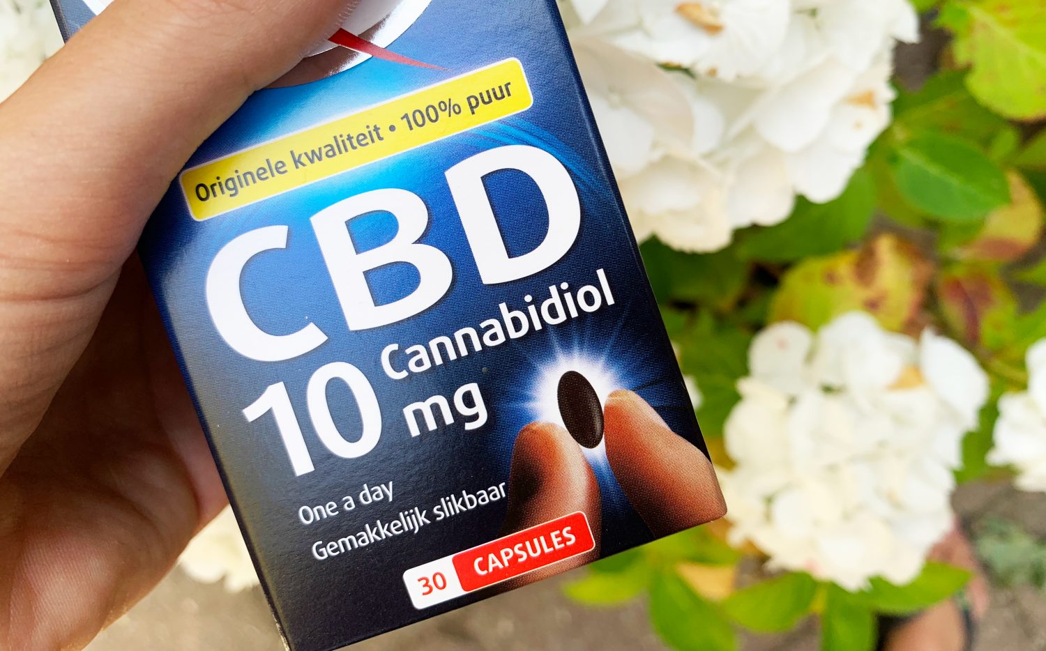 Cannabisolie: waar kan je het voor gebruiken?